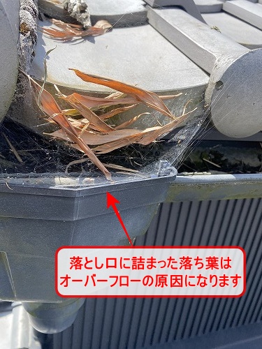 落ち葉よけ　ネット　竹の葉　豊川市　落とし口